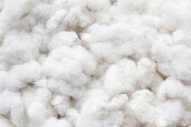 Cotton